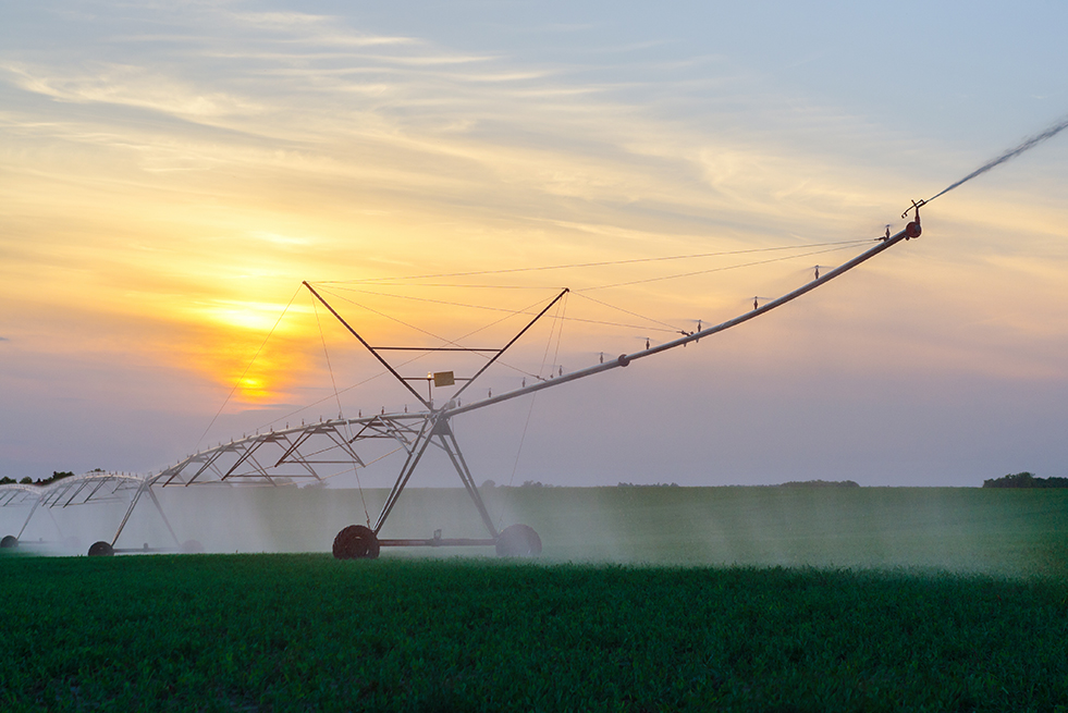 High risk of food shortages without pesticides, says chemical giant